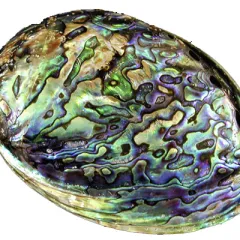 Седеф