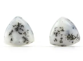 Обици с Дендритов Опал